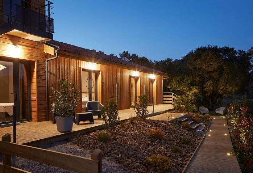 חדר סופריור עם טרסה, Cote Phare