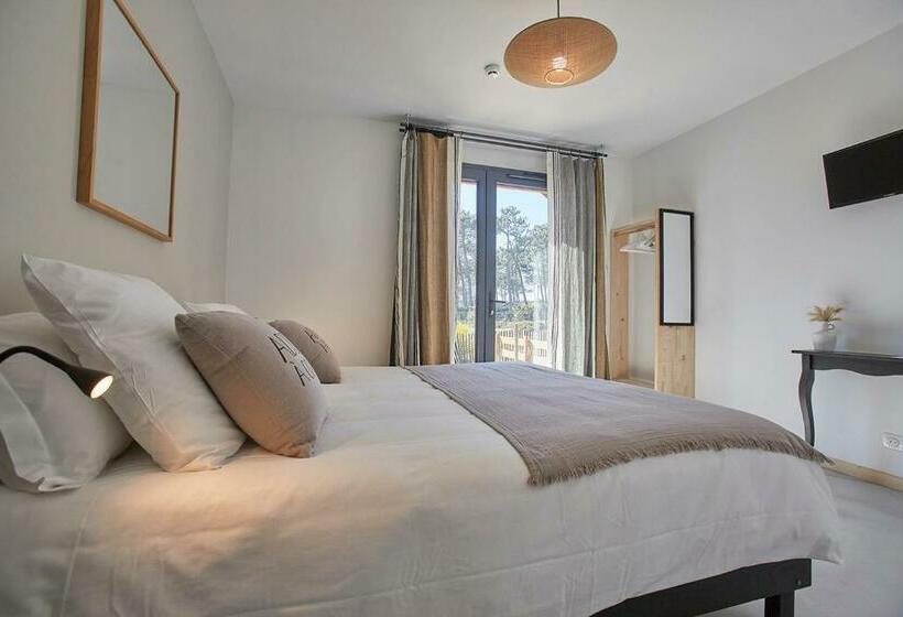 חדר סופריור עם טרסה, Cote Phare