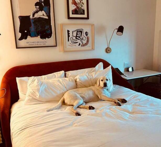 غرفة ديلوكس سرير كينج, Virgin Hotels New Orleans