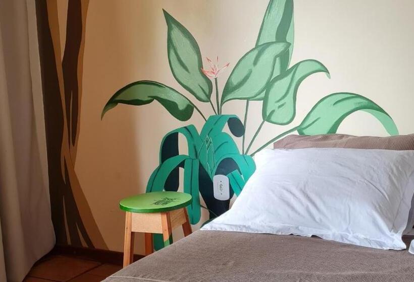 スタンダードルーム, Casa Saimiri