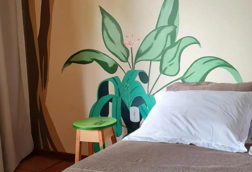 スタンダードルーム, Casa Saimiri