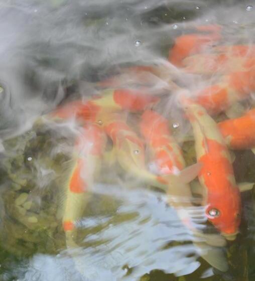 اتاق استاندارد چهار تخته, La  Anh Boutique Stay