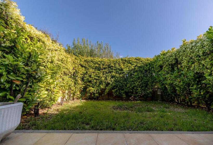 آپارتمان سوپریور 1 خوابه, Solidago Residence