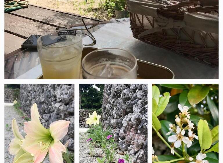 Budget Værelse, Travelers House おーさんてぃん青空舎