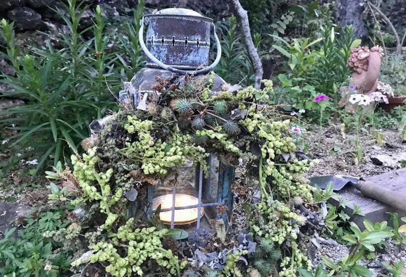 Budget Værelse, Travelers House おーさんてぃん青空舎