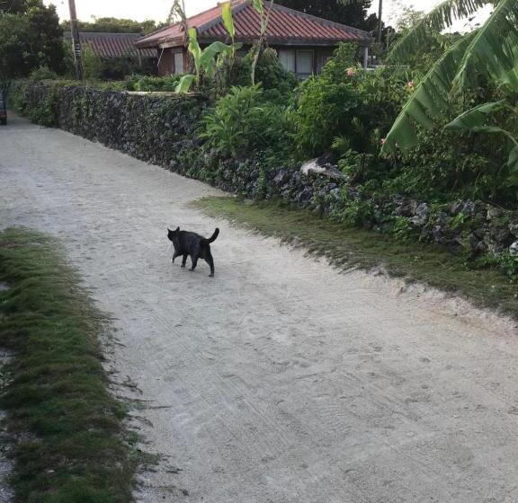 Budget Værelse, Travelers House おーさんてぃん青空舎