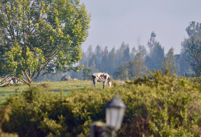 شاليه غرفة نوم واحدة, Finca Agrreste