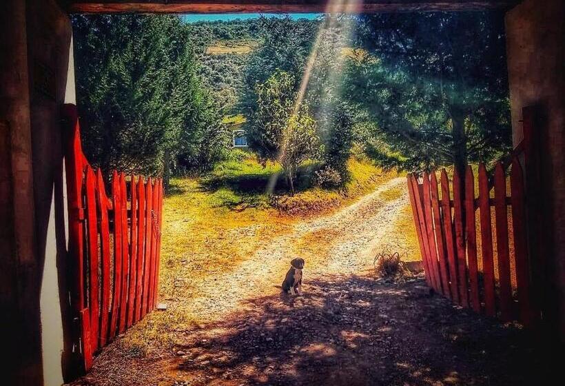 شاليه غرفة نوم واحدة, Finca Agrreste