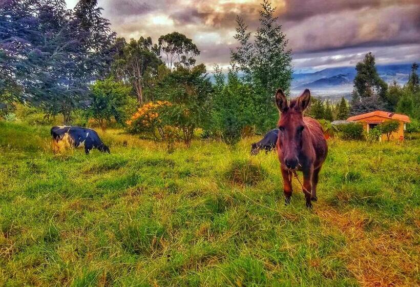 شاليه غرفة نوم واحدة, Finca Agrreste