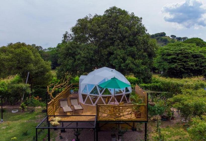 Standard Tent, Glamping Girardot & Hotel Puerta Del Sol Girardot