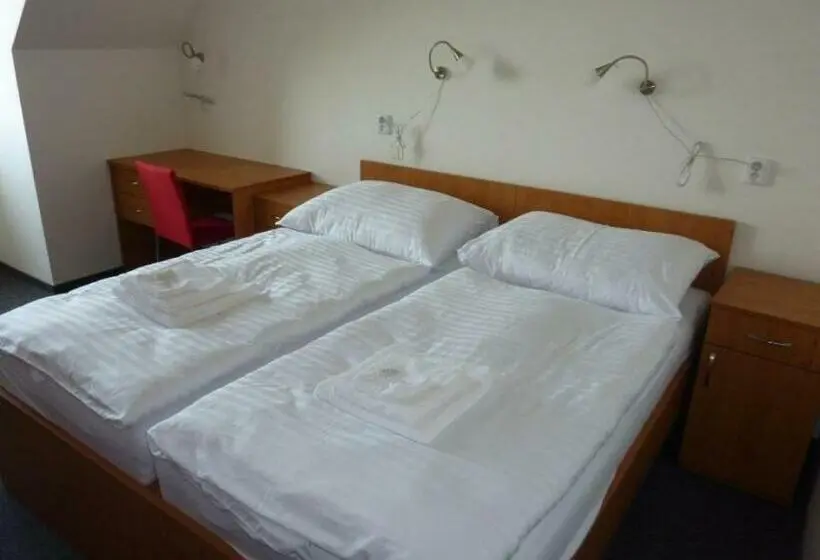 スタンダードルーム, Sport Relax Hotel Na Kopečku