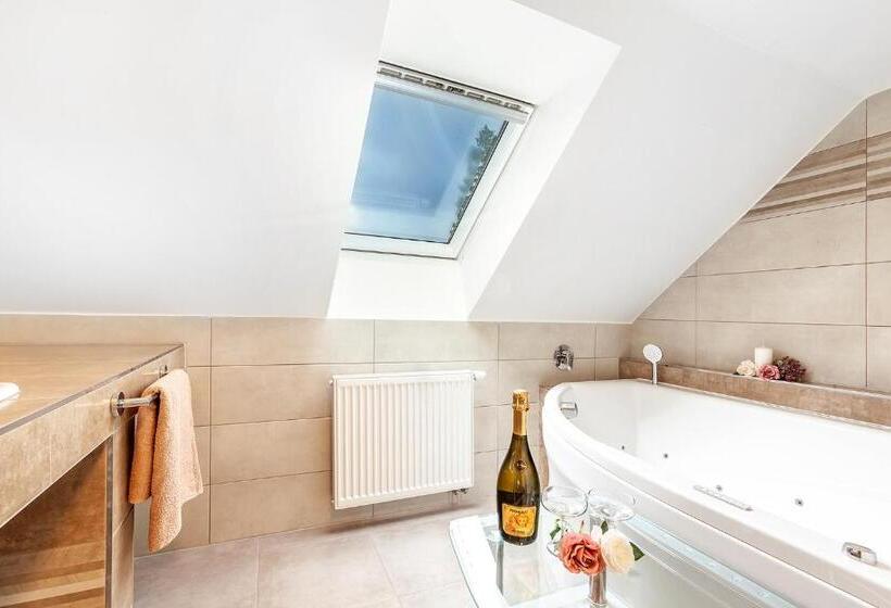 Апартаменты Superior 1 Спальня, Penzion Bačalský Mlýn