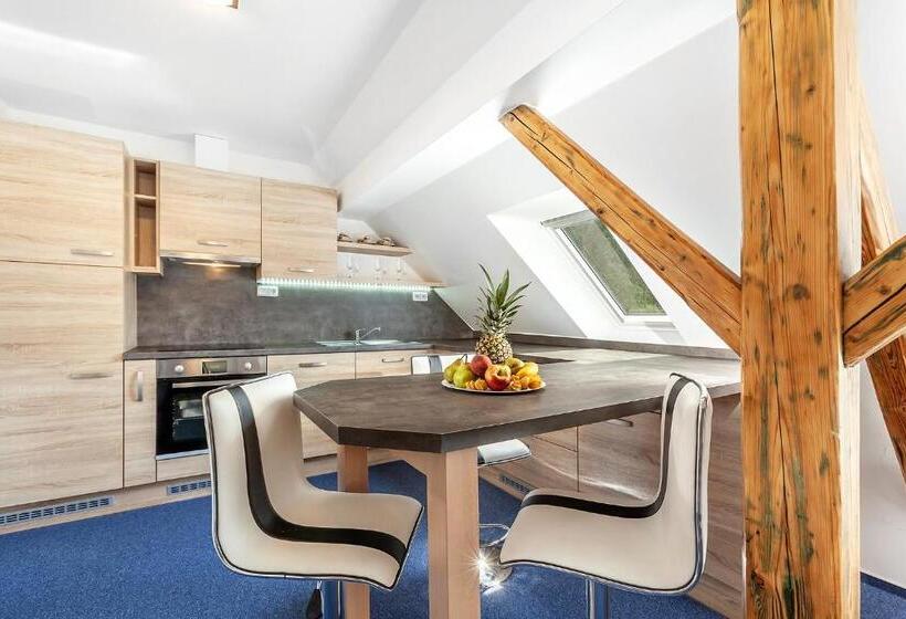 Апартаменты Superior 1 Спальня, Penzion Bačalský Mlýn