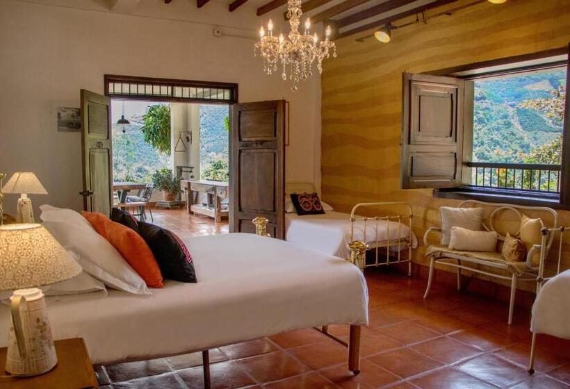 ジュニアスイート, Finca Boutique El Diamante