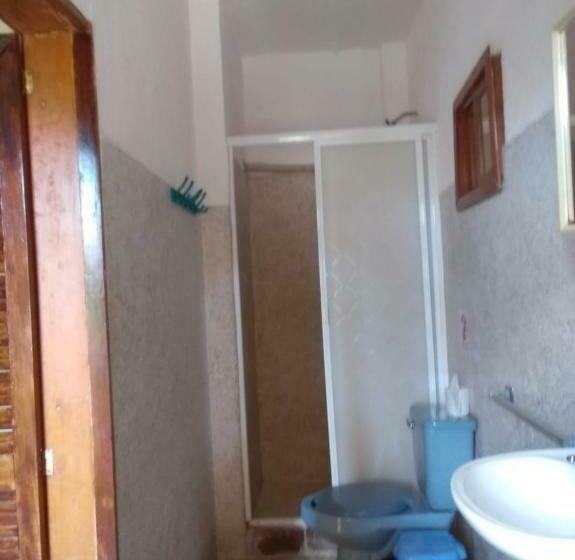 デラックスルーム, Papaya Surf