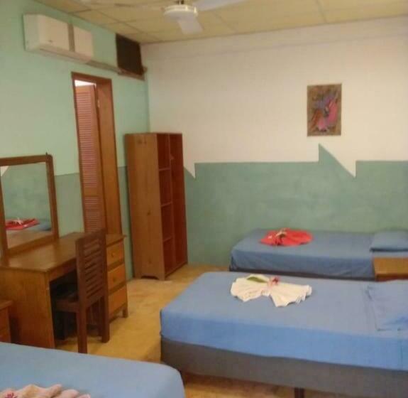 トリプルクラシックルーム, Papaya Surf