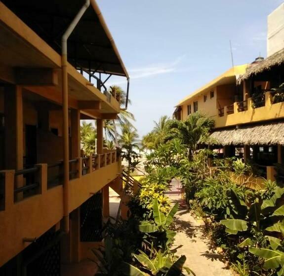 トリプルクラシックルーム, Papaya Surf