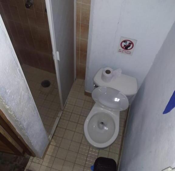 エコノミールーム, Papaya Surf