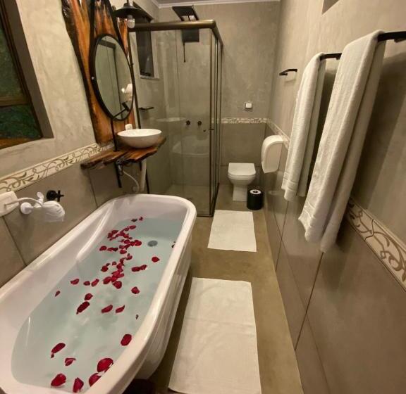 غرفة قياسية, Queiroz Palace