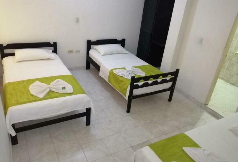 标准三人间, Tame Real