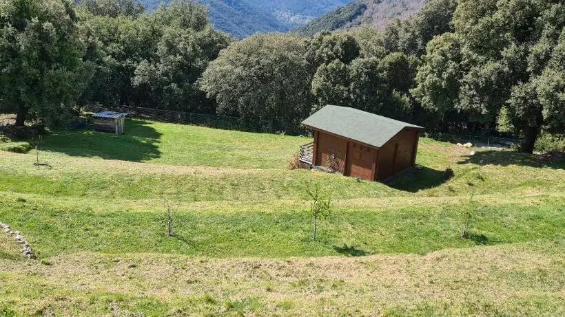 シャレー1寝室, Casa Sarrinca
