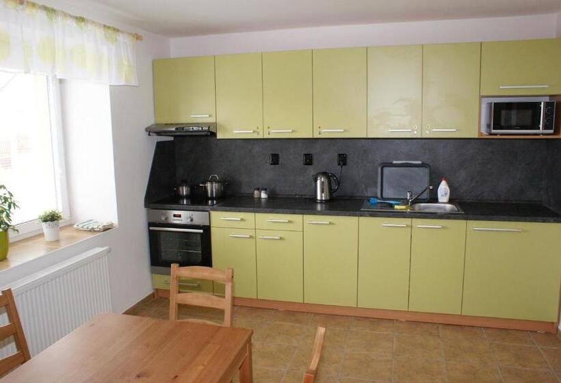 غرفة قياسية مع حمام خارجي, Penzion Rozhovice