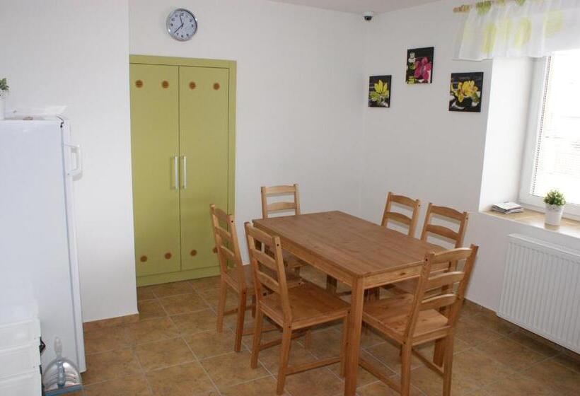 غرفة قياسية مع حمام خارجي, Penzion Rozhovice