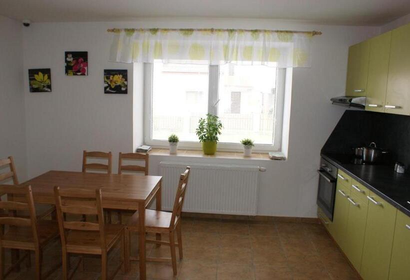 Standard room with outdoor bath, Penzion Rozhovice