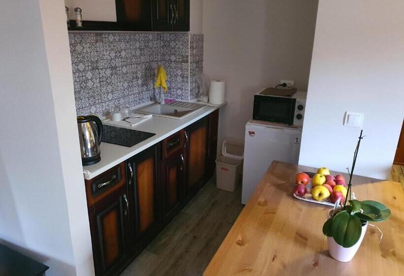 סטודיו סופריור, Bereg Travel