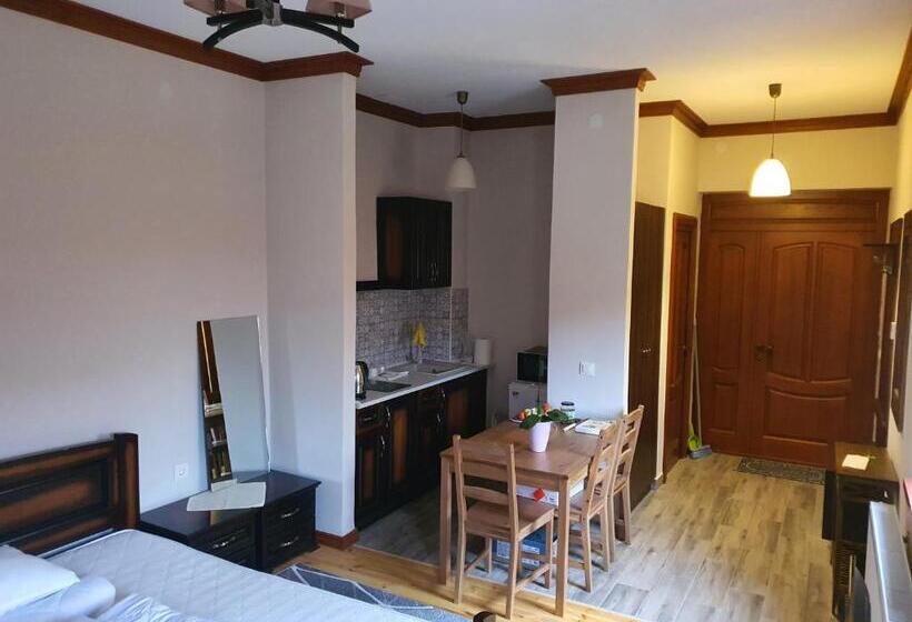 סטודיו סופריור, Bereg Travel