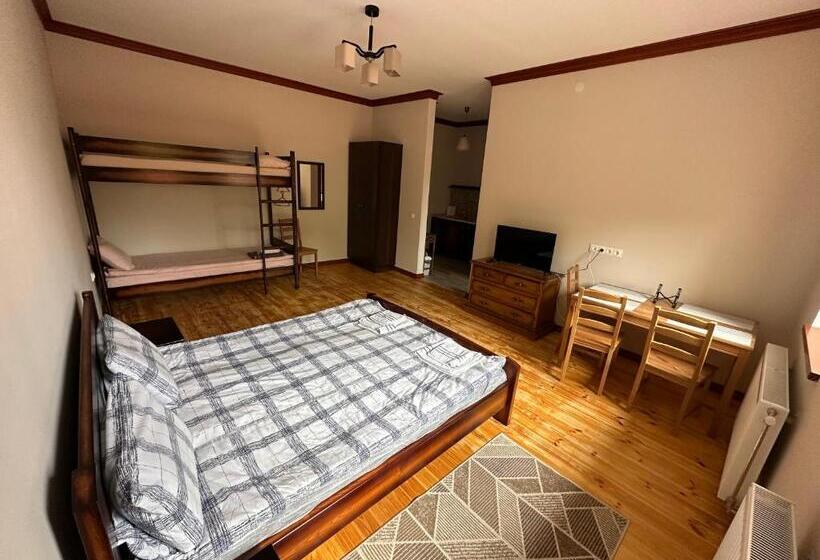 סטודיו משפחתי, Bereg Travel