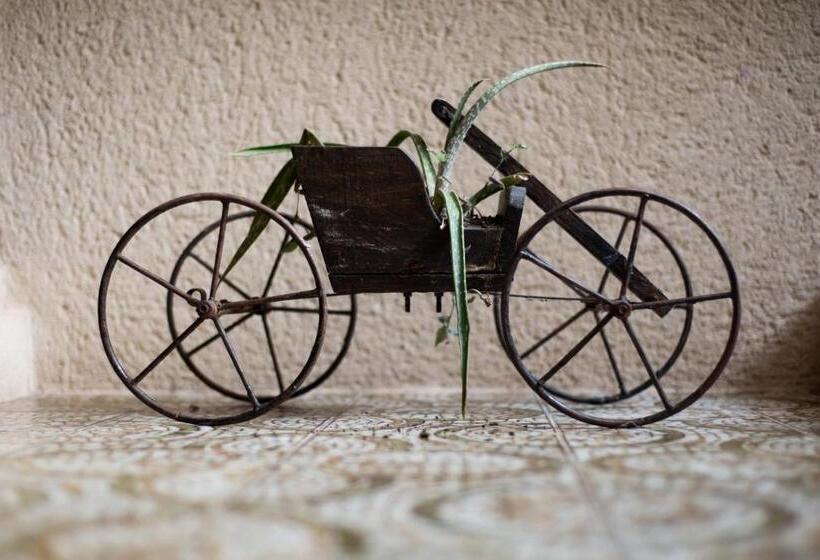 منزل 3 غرف نوم, La Casa De La Vieja   Alojamiento Rural 3 Y 4 Estrellas