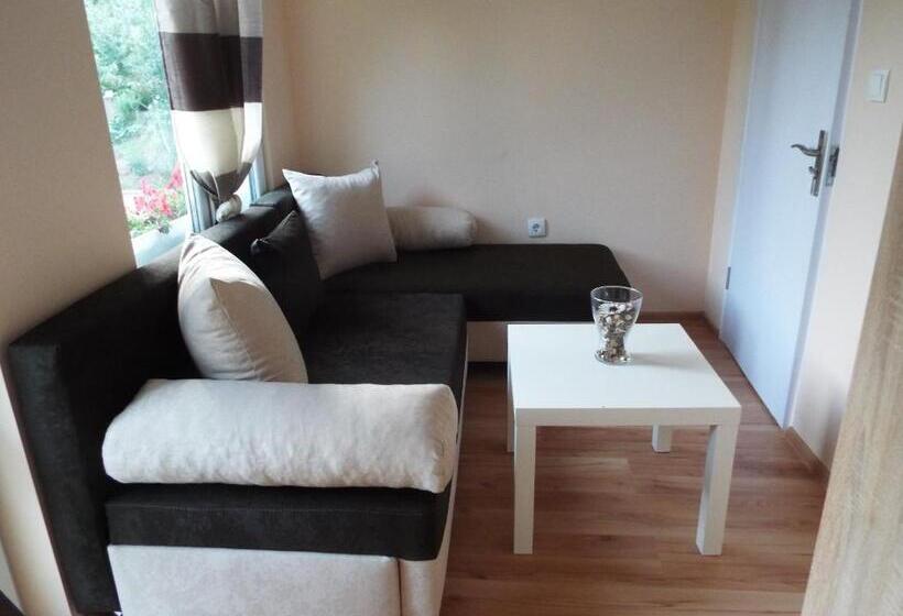 חדר משפחתי, The Illuminating House