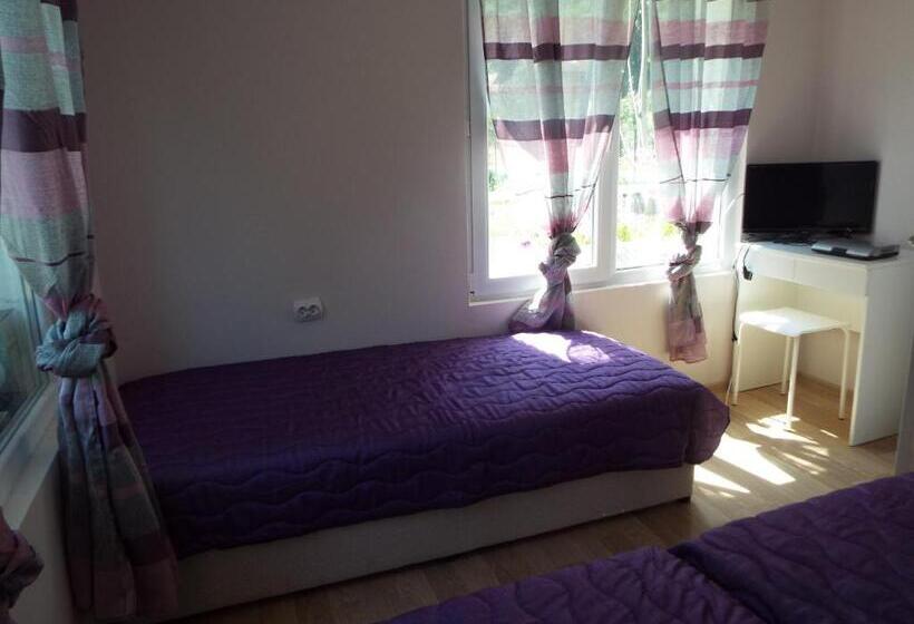 חדר סטנדרט לשלושה, The Illuminating House