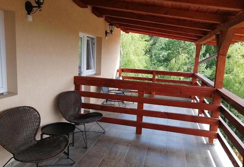 Номер Стандарт с Террасой, Pensiunea Anda