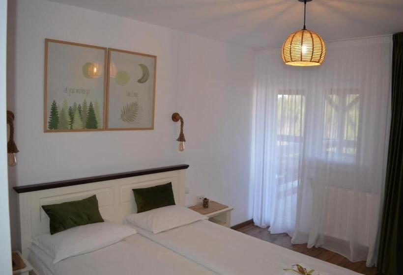 Номер Стандарт с Террасой, Pensiunea Anda