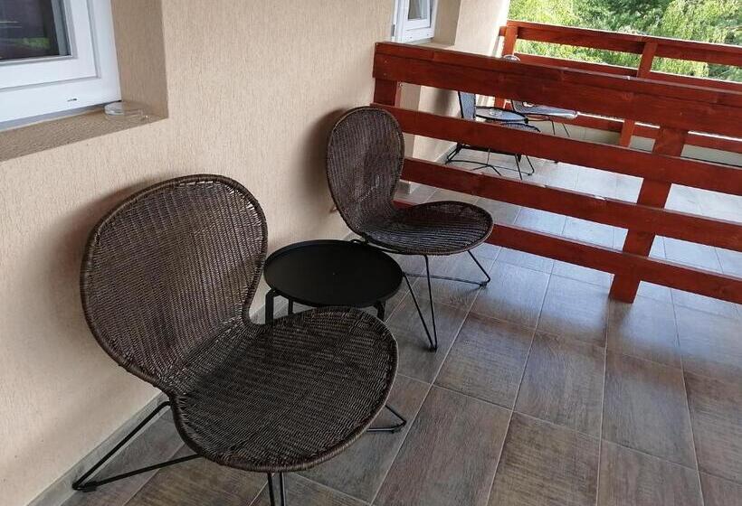 Номер Стандарт с Террасой, Pensiunea Anda