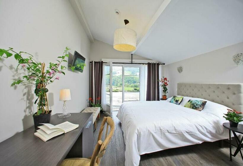 スタンダードルーム, Agian