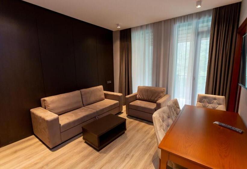 آپارتمان 1 خوابه با چشم‌انداز, Neptun Palace Kvariati