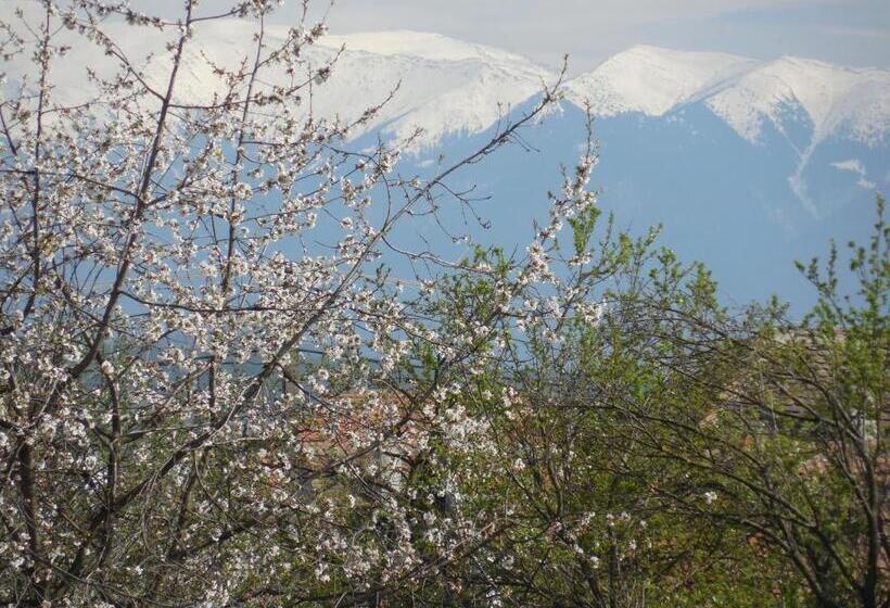 חדר סטודיו סטנדרד, Vila Bel Ami