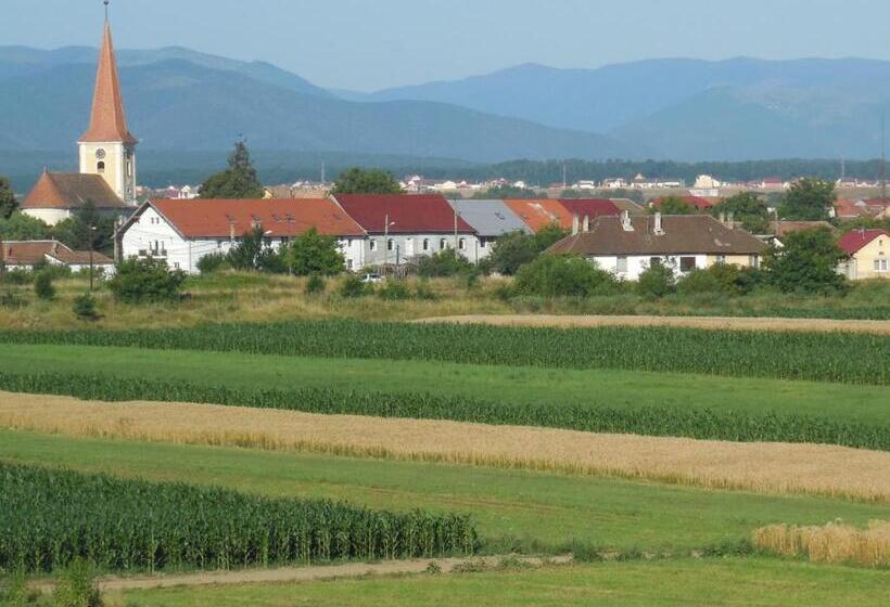 إستوديو قياسى, Vila Bel Ami