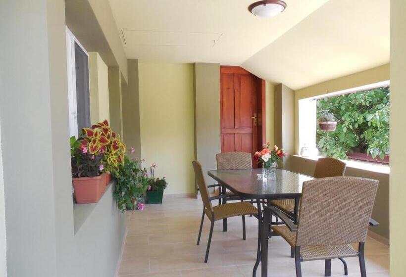 إستوديو قياسى, Vila Bel Ami