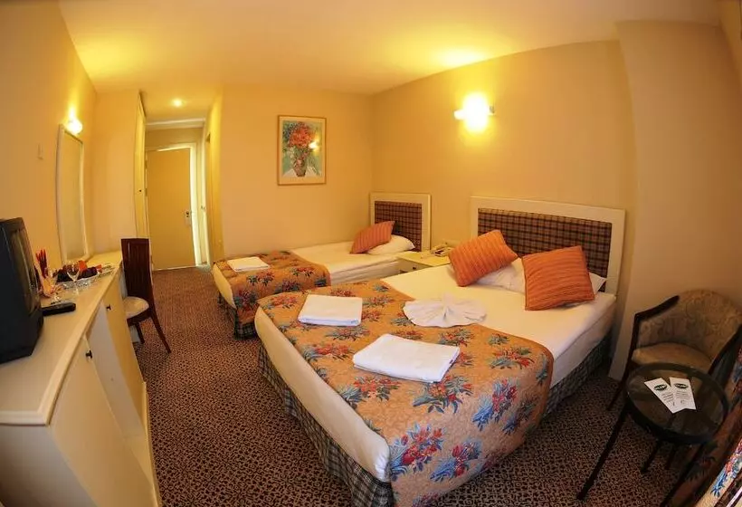 Standard Single Room