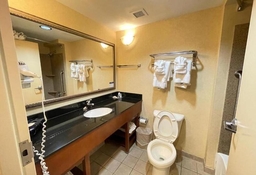 스탠다드 룸 더블 침대 2개, Comfort Suites Fredericksburg North