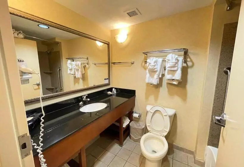 ２ダブルベッドのスタンダードルーム, Comfort Suites Fredericksburg North