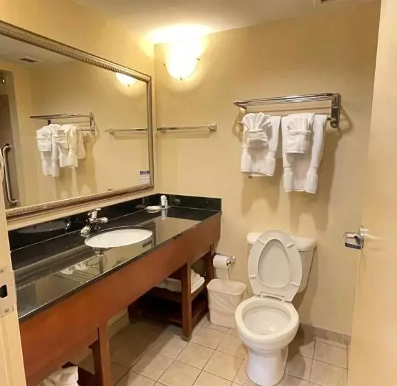 ２ダブルベッドのスタンダードルーム, Comfort Suites Fredericksburg North