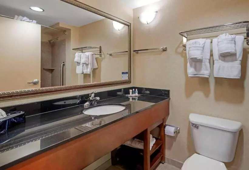 ２ダブルベッドのスタンダードルーム, Comfort Suites Fredericksburg North