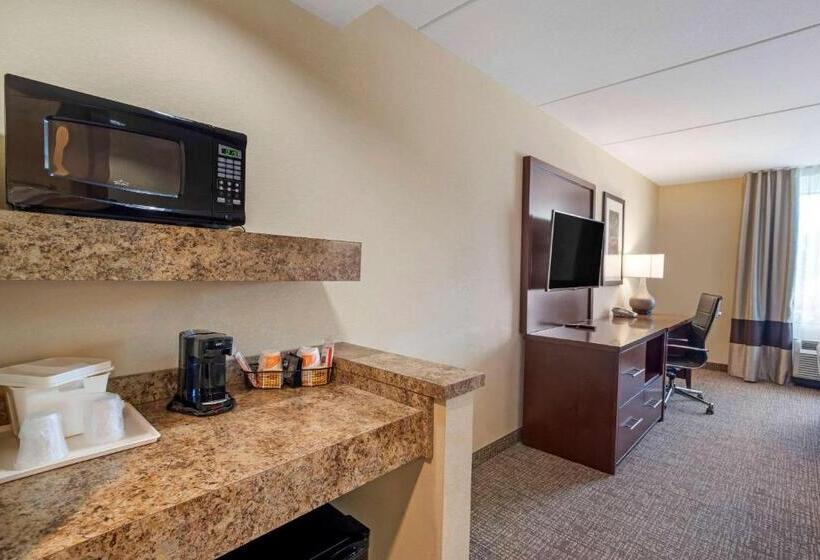 Номер Стандарт 2 Двуспальные Кровати, Comfort Suites Fredericksburg North