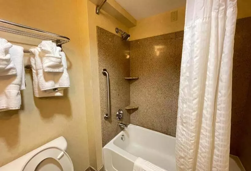 スイート, Comfort Suites Fredericksburg North