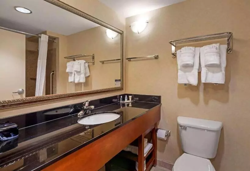 スイート, Comfort Suites Fredericksburg North